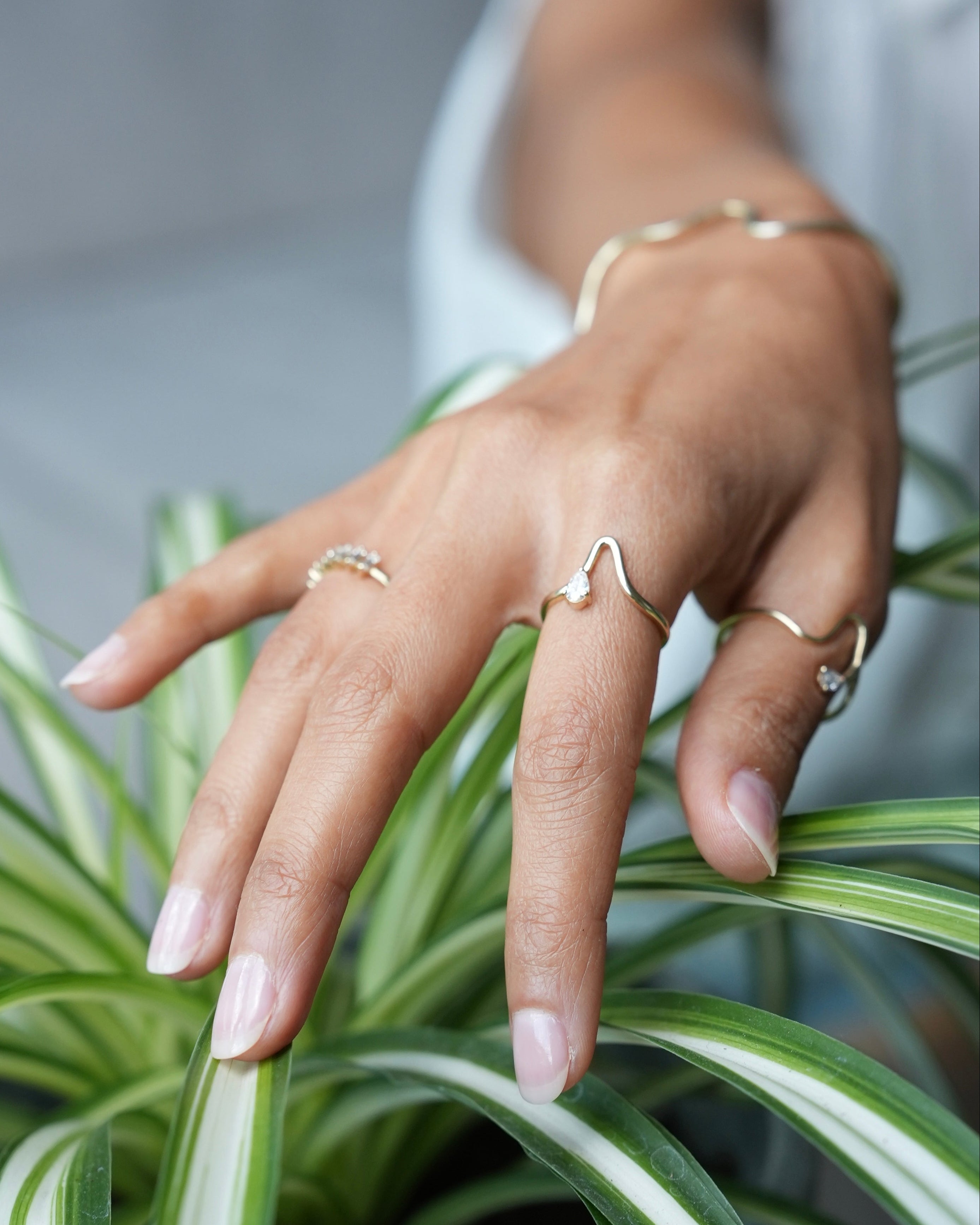 Hand with gold rings on a plant background