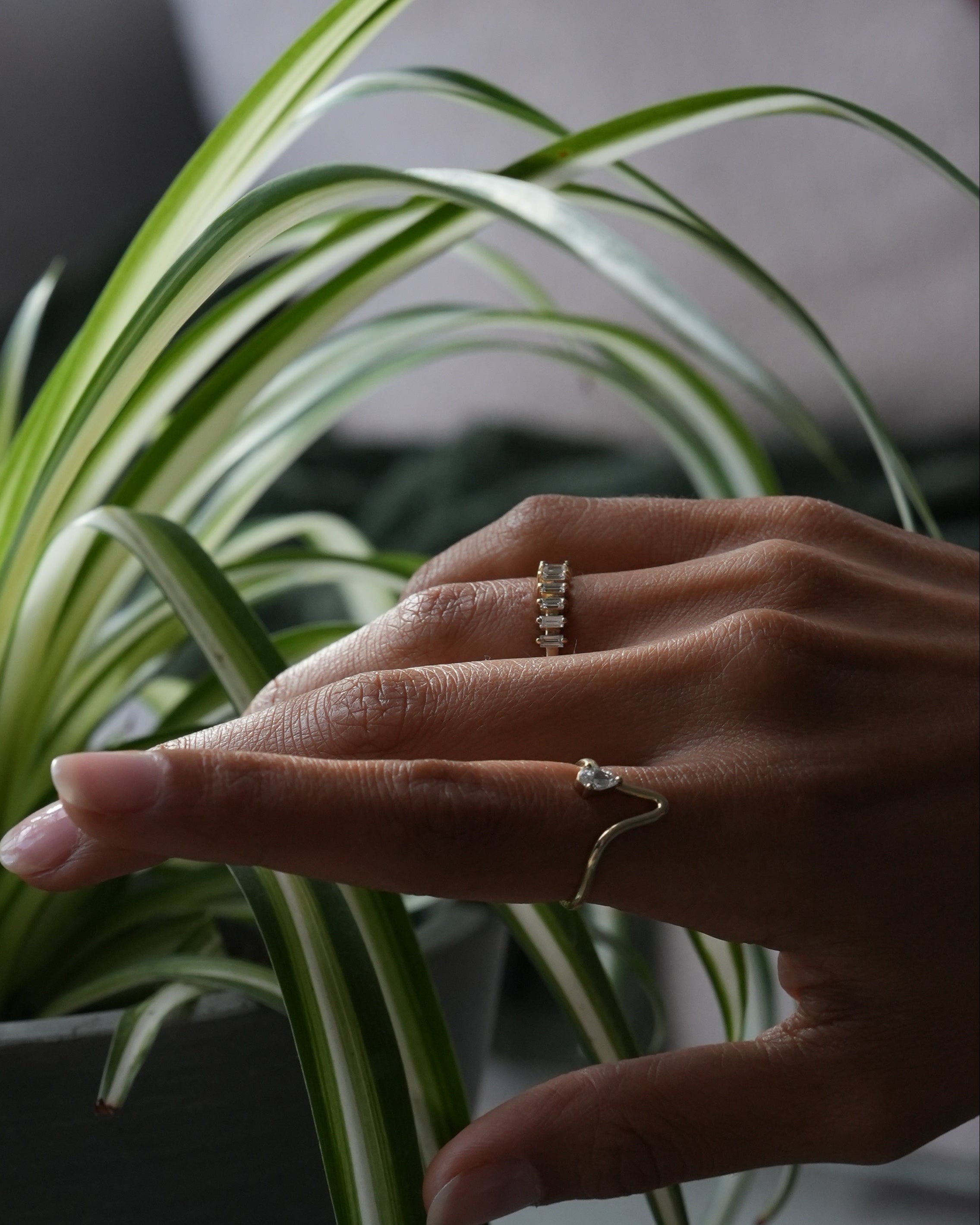 Hand with a ring touching a spider plant against a dark background