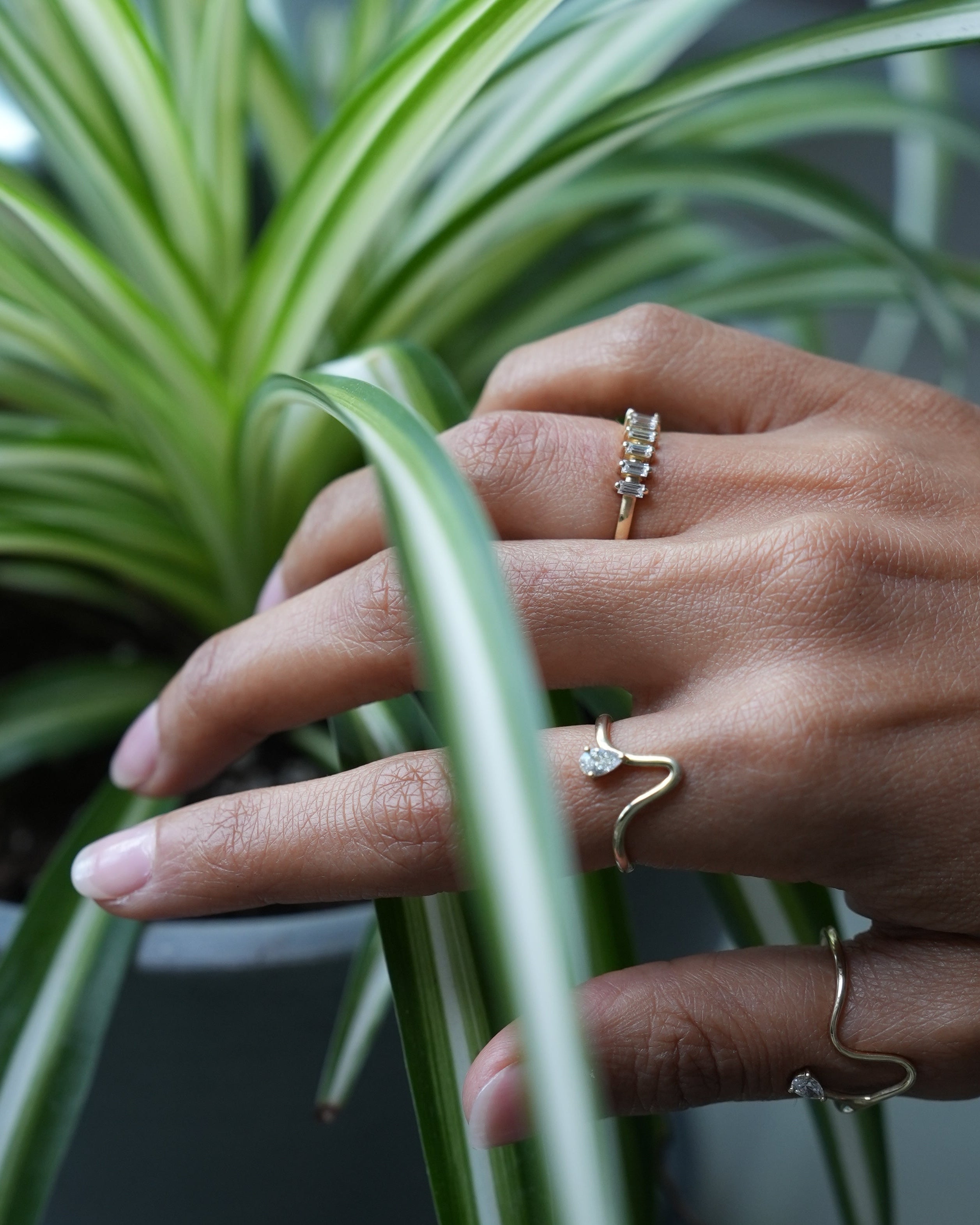 Hand with gold rings holding a green plant