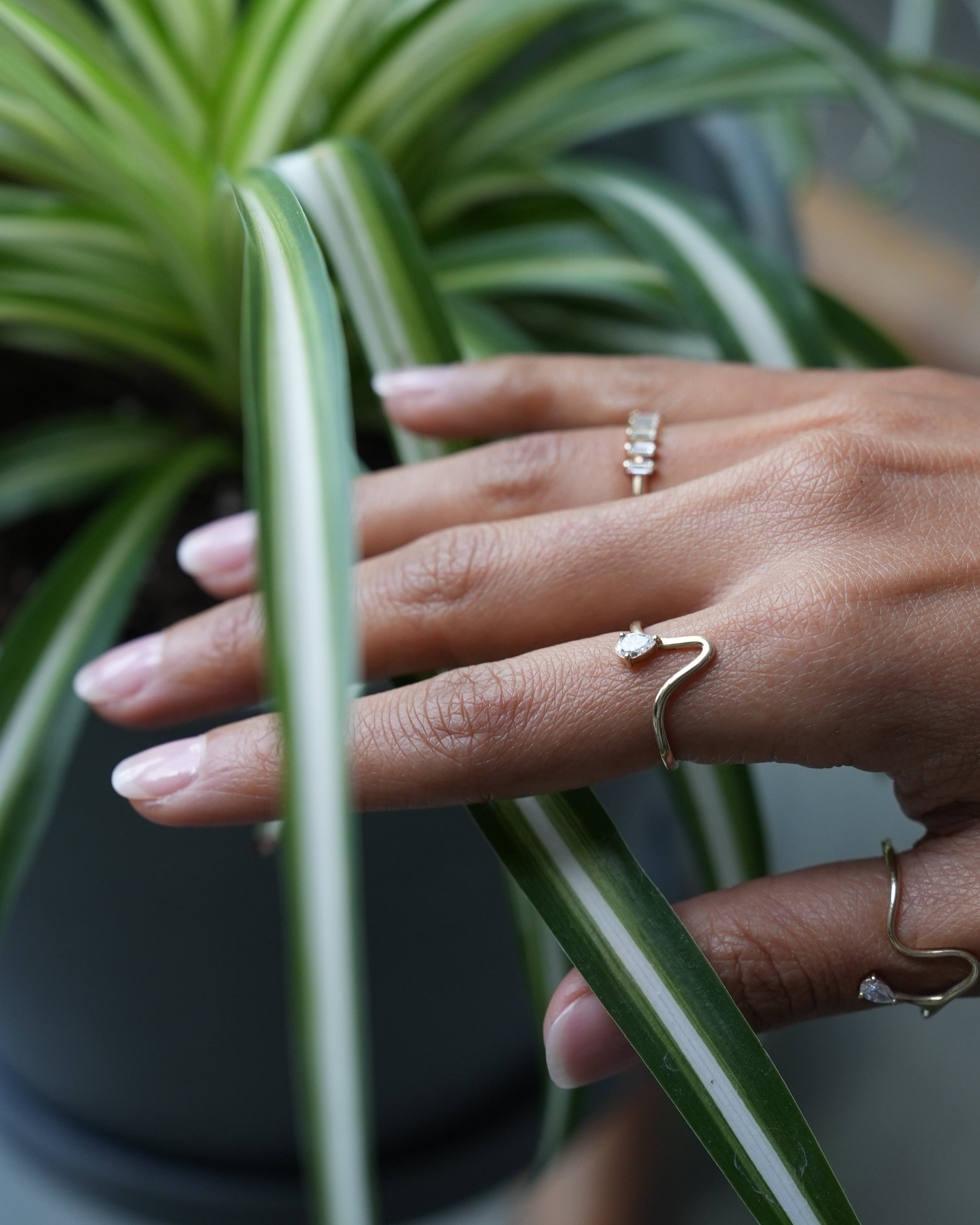 Hand with gold rings holding a plant leaf, with a blurred background