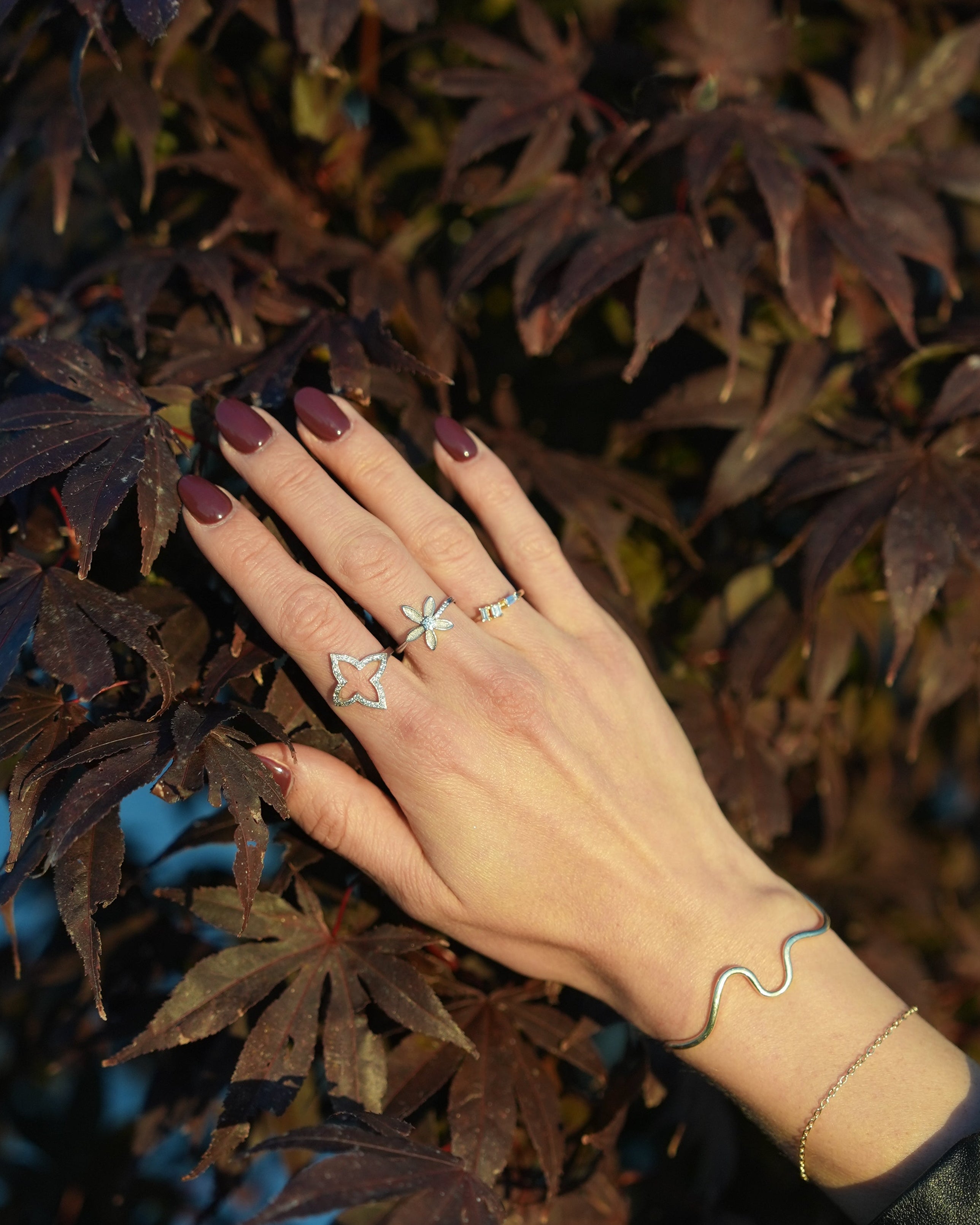 Hand with rings and a bracelet on a background of dark leaves